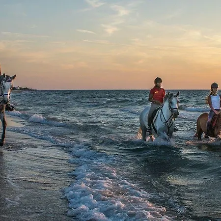 Yiannis Yard & 아파트호텔 3*