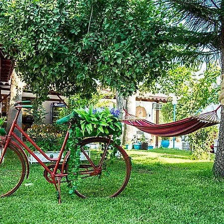 Yiannis Yard &