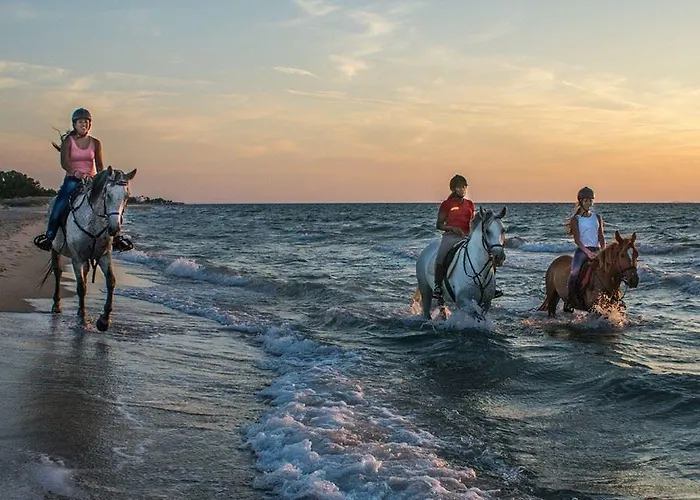 Yiannis Yard & アパートホテル 3*