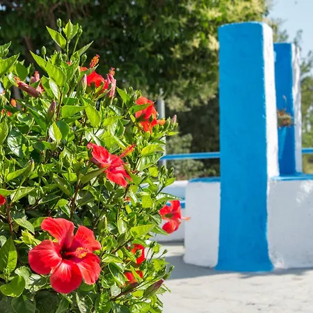 Yiannis Yard & 4*